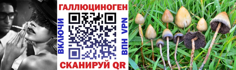 Псилоцибиновые грибы мицелий  магазин    Гудермес 